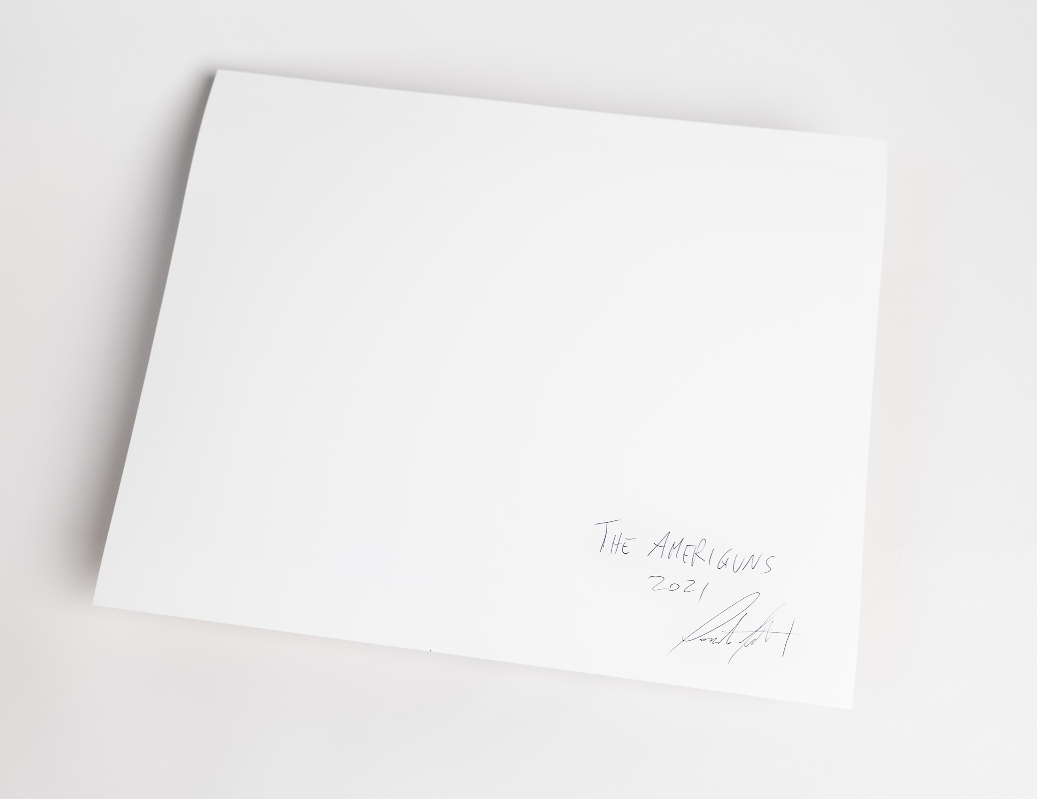 THE AMERIGUNS (print + book)