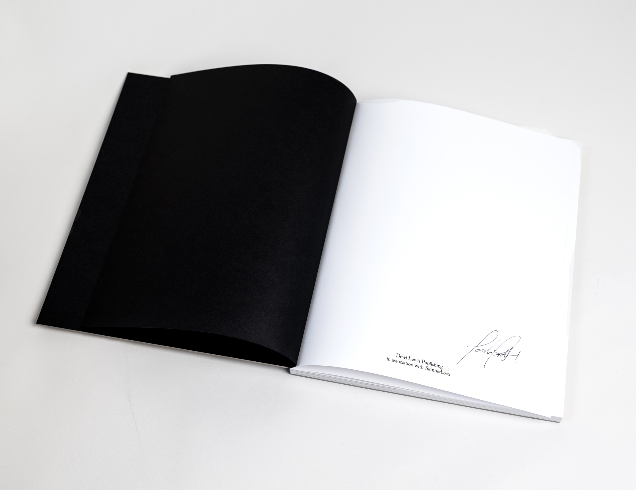 THE AMERIGUNS (print + book)