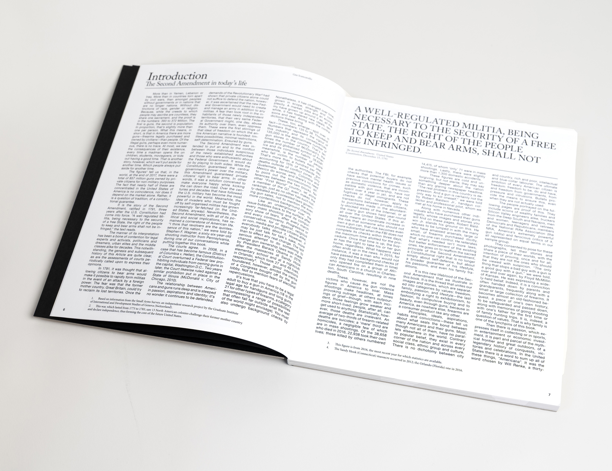 THE AMERIGUNS (print + book)